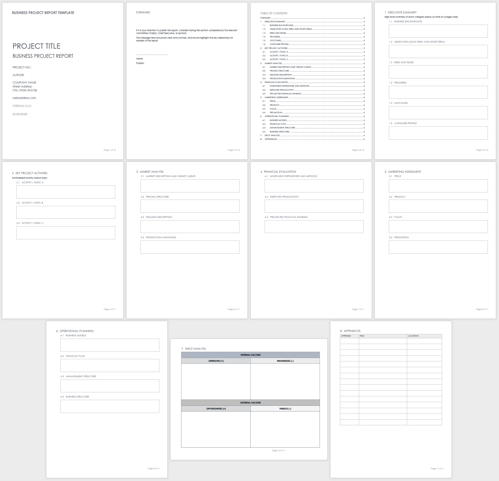 Business Project Report Template