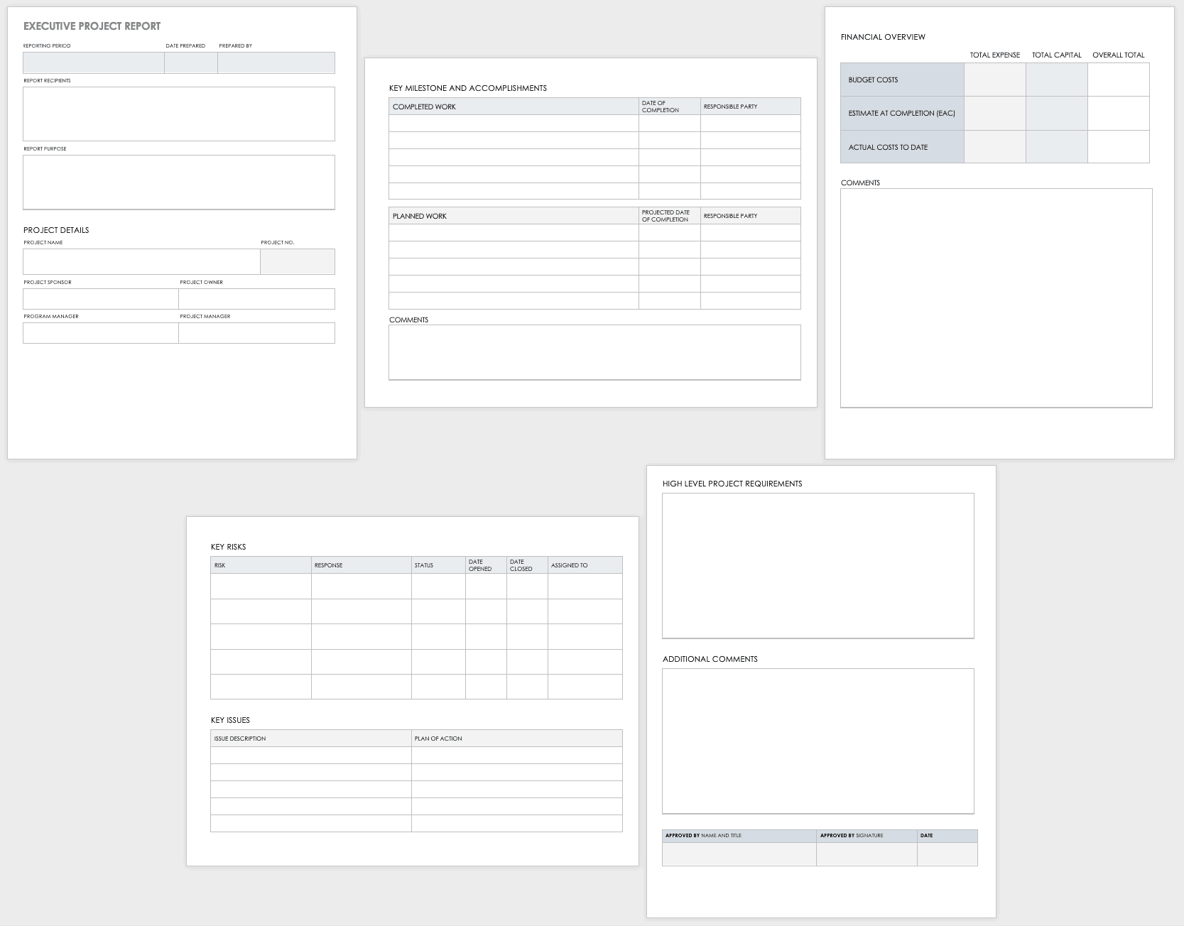 Executive Project Report Template