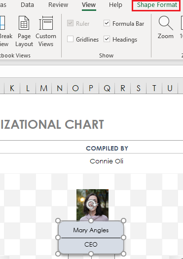 Org Chart Shape Format