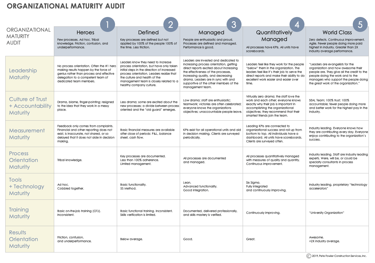 Organizational Maturity Audit Template