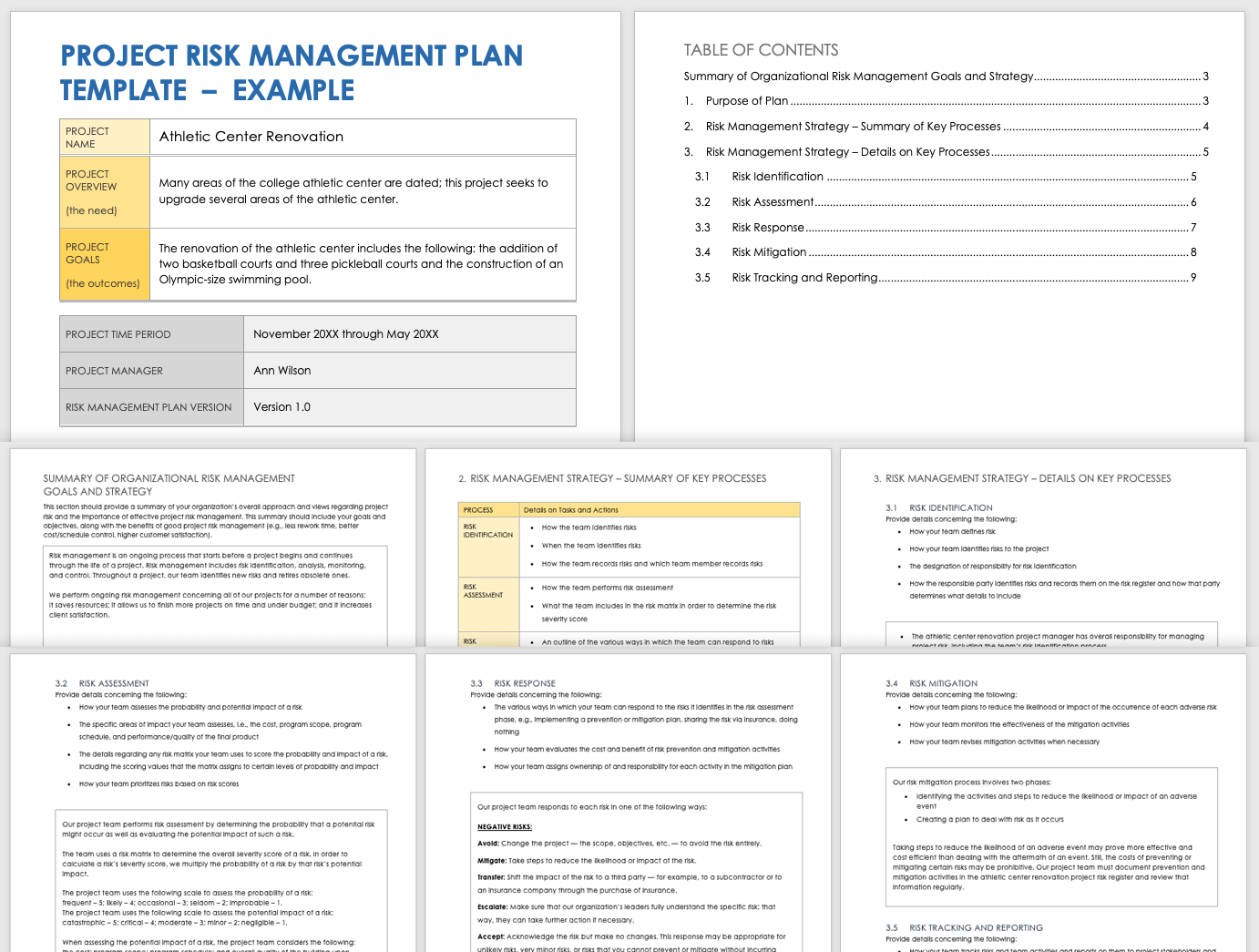 Project Risk Management Plan Template