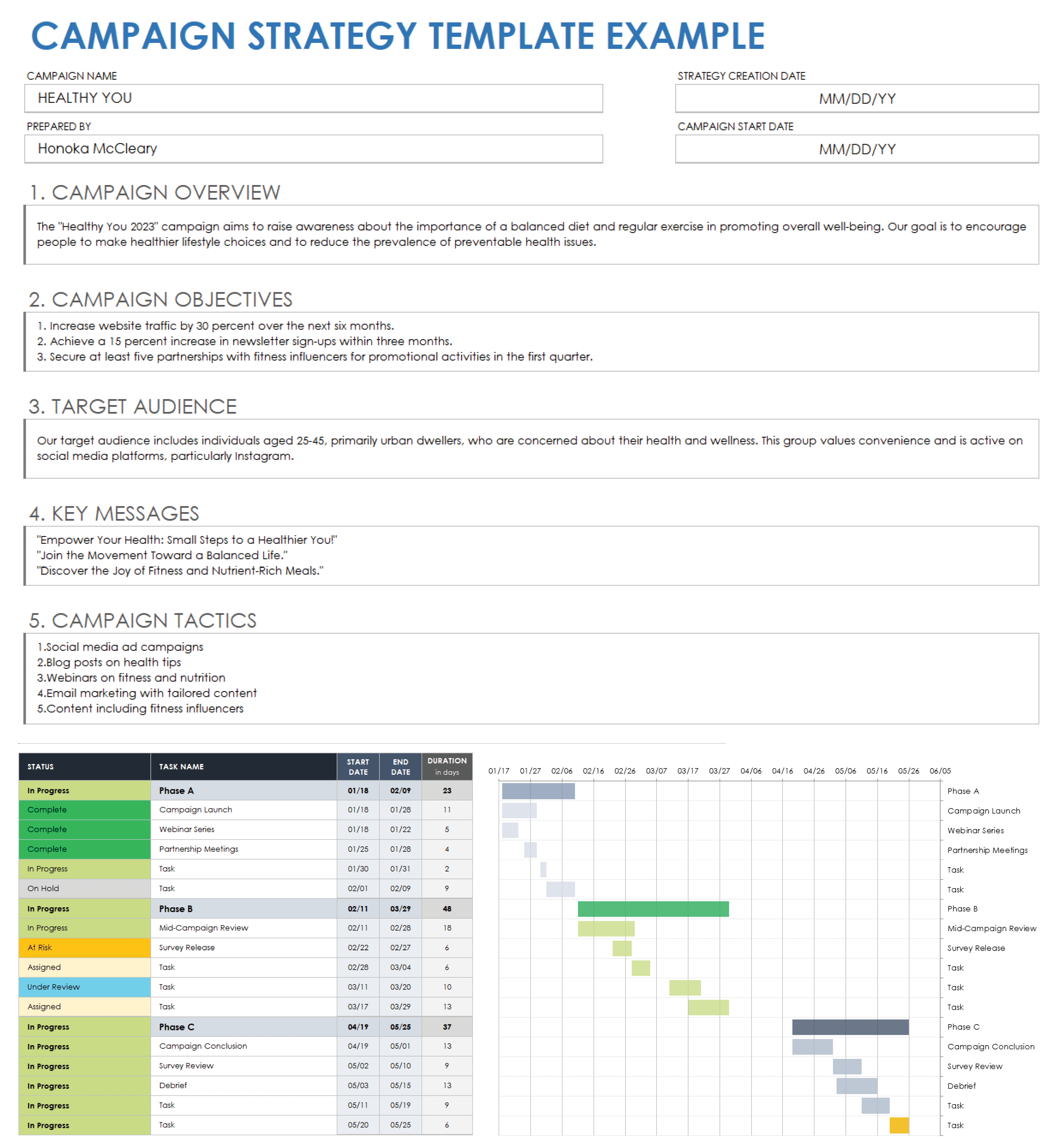 Campaign Strategy Template Example