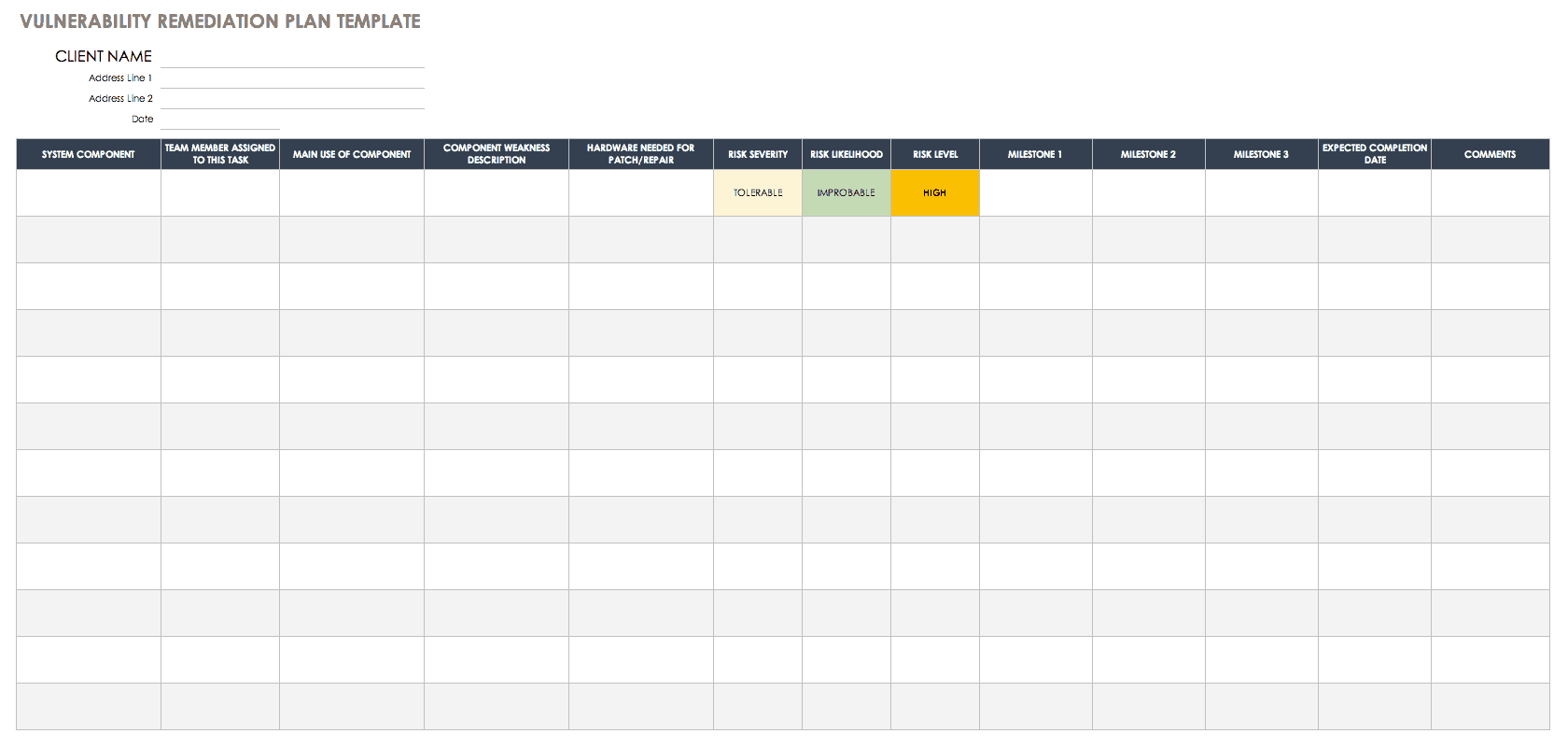 Vulnerability Remediation Plan Template